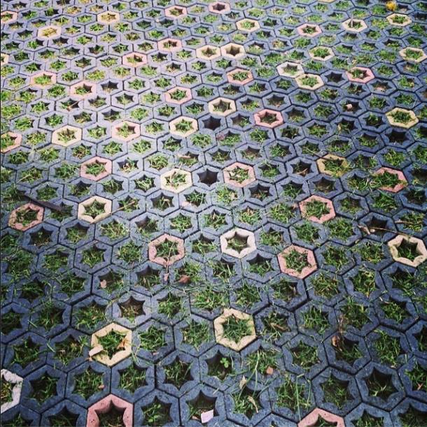 Alejandro Fournier Sector Reforma Alejandro Fournier Sector Reforma